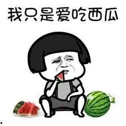 娱乐吃瓜最新一期,揭秘最新一期热点事件，明星幕后故事大揭秘！